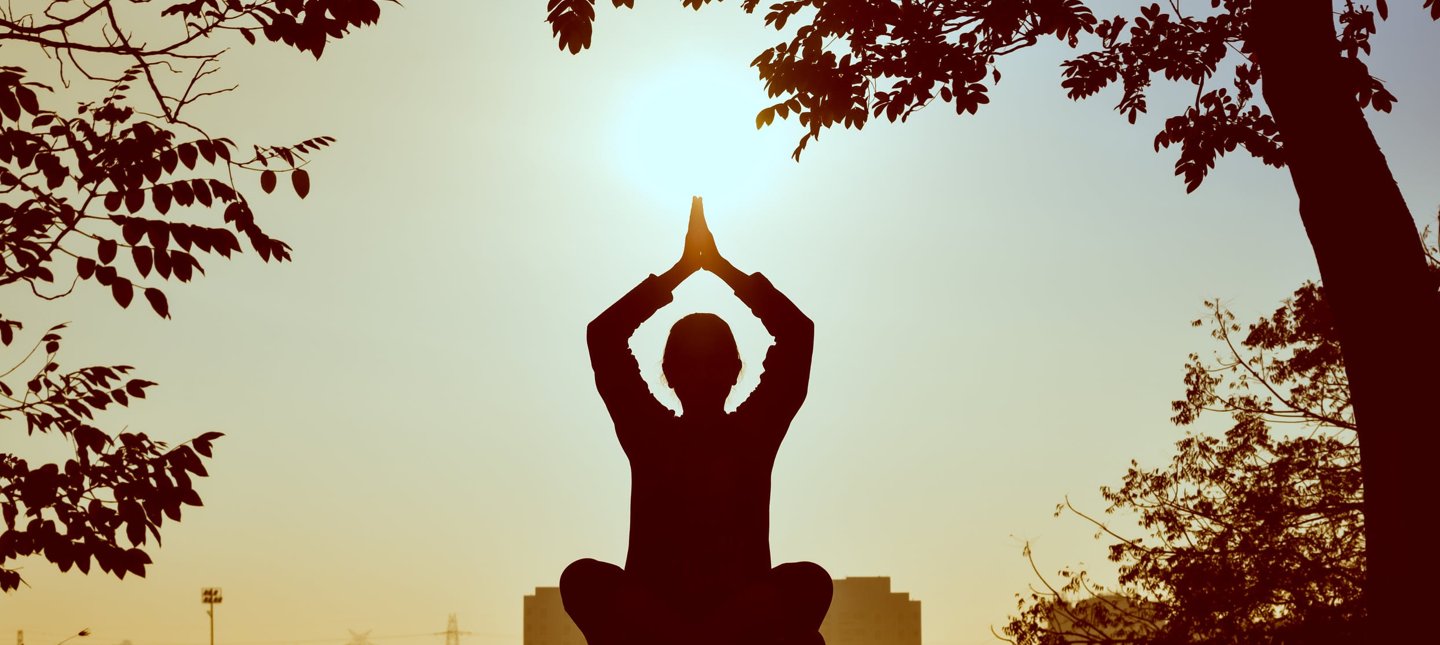 There are many variations of passages of Lorem Ipsum available